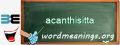 WordMeaning blackboard for acanthisitta